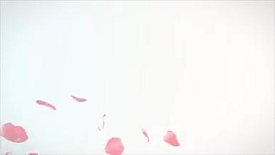 玫瑰花瓣动画过渡婚礼照片相册AE模板视频的预览图
